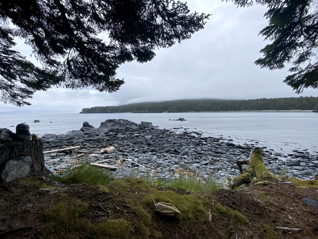 Cute Cabin Nestled in the Trees with Magical Forest Views for a Romantic Escape in Nature Whale Island, Alaska