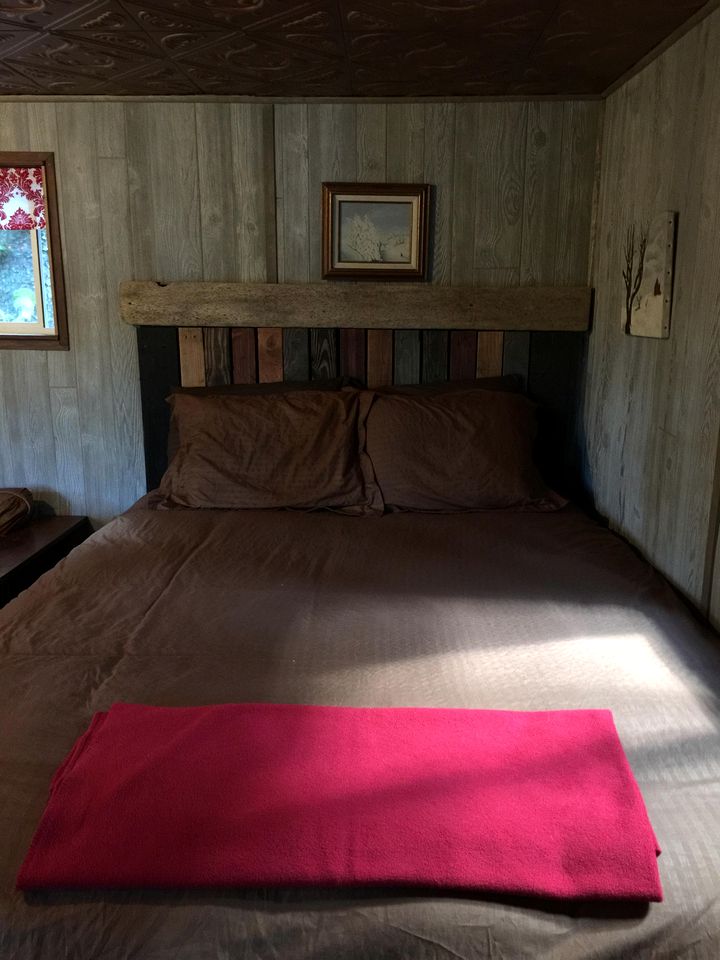 Cute Cabin Nestled in the Trees with Magical Forest Views for a Romantic Escape in Nature Whale Island, Alaska