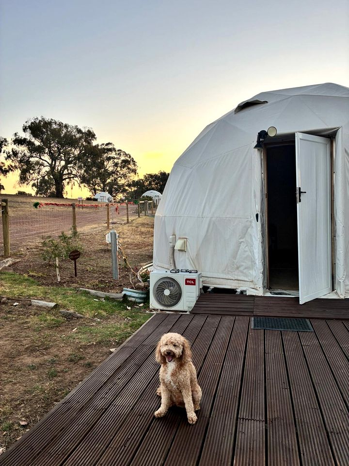 Serene Luxury Glamping Domes with Panoramic Sunrise Views near Balmattum, Victoria