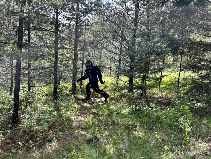 Cabins (United States of America, Sagle, Idaho)