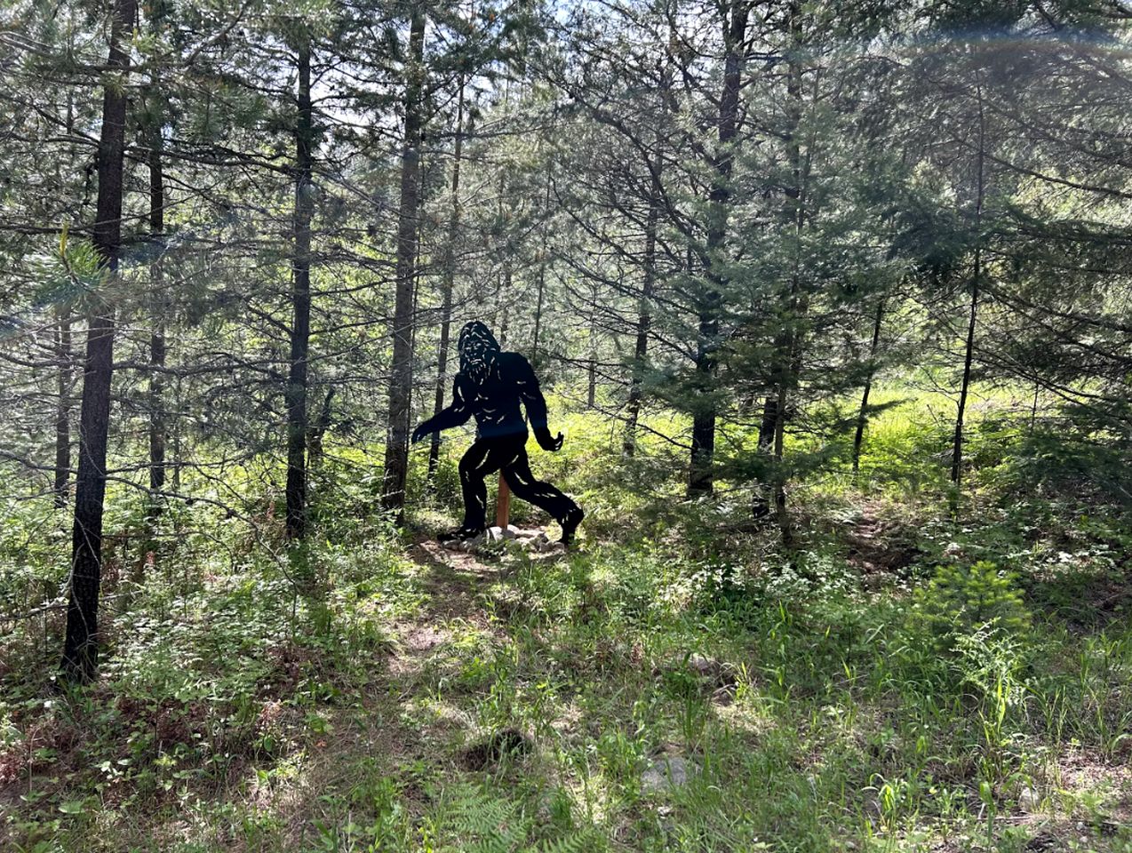 Scenic Off-Grid Campsite Overlooking Crystal Clear Lake in Sagle, Idaho