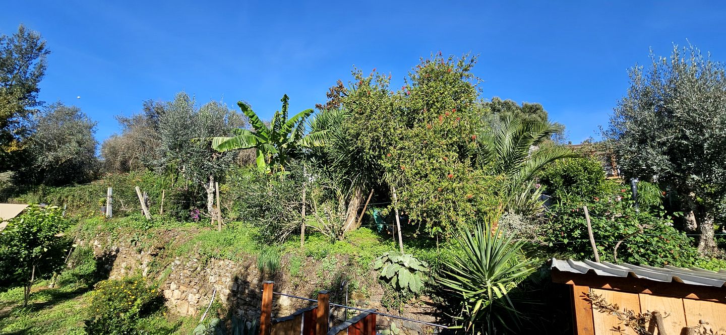 Cozy Stylish Glamping Tents with Cork Oak Forest Views Near Pedrógão Grande, Central Portugal