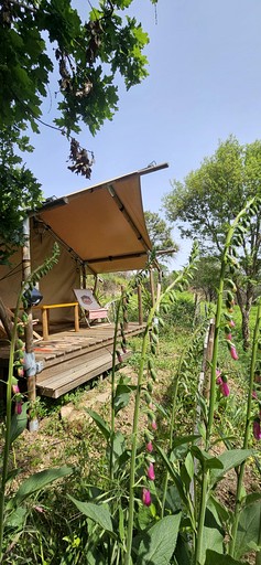 Safari Tents (Portugal, Pedrogao Grande, Leiria District)