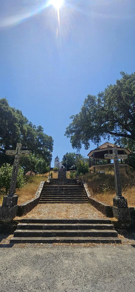 Cozy Stylish Glamping Tents with Cork Oak Forest Views Near Pedrógão Grande, Central Portugal
