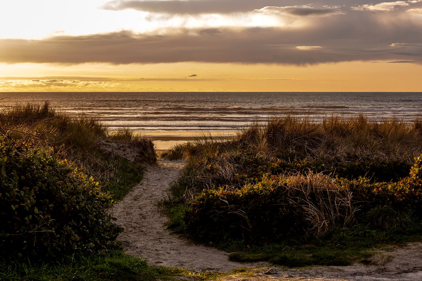 Rustic Beachfront Escape with Fireplace, Views & Pet-Friendly Stay in Florence, Oregon