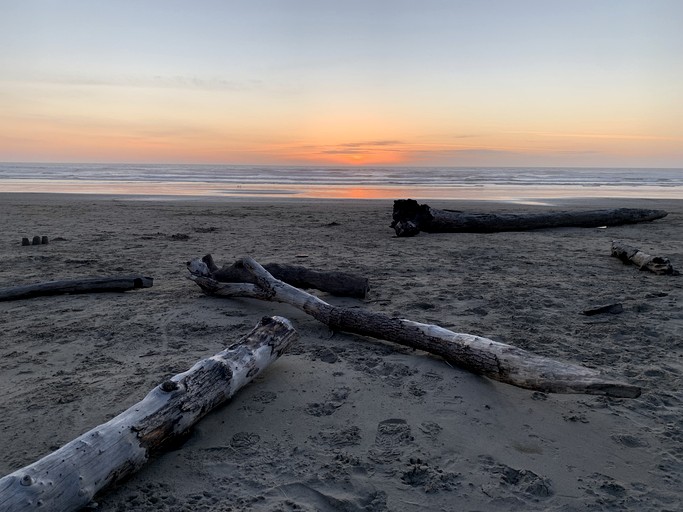 Beach Houses (United States of America, Florence, Oregon)