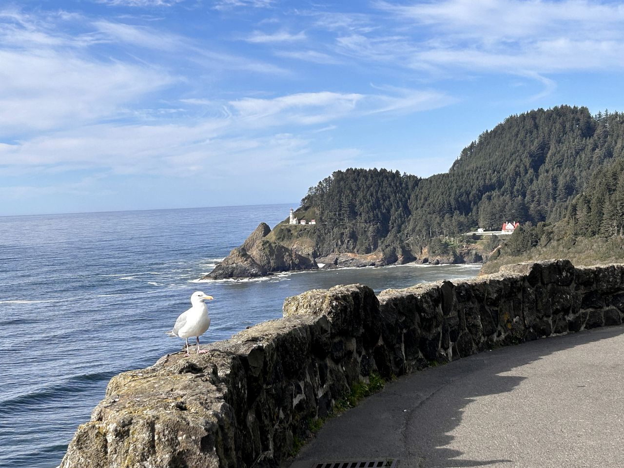 Rustic Beachfront Escape with Fireplace, Views & Pet-Friendly Stay in Florence, Oregon