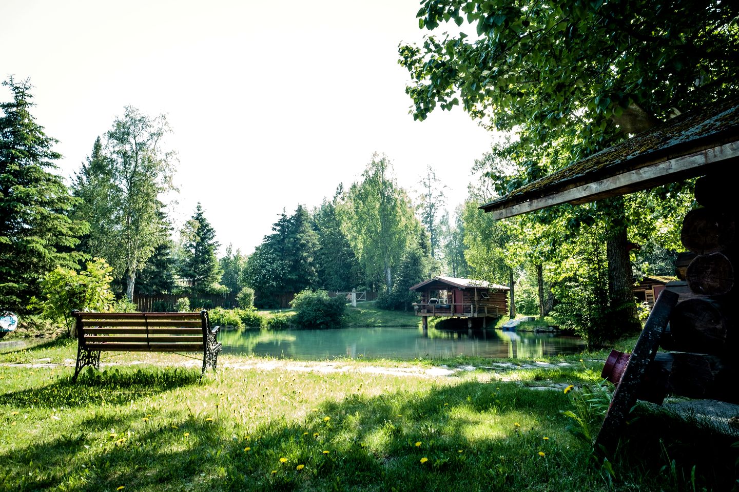 Quaint Private Cabin with Creek & Pond Views Near Bear Creek, Hope Alaska