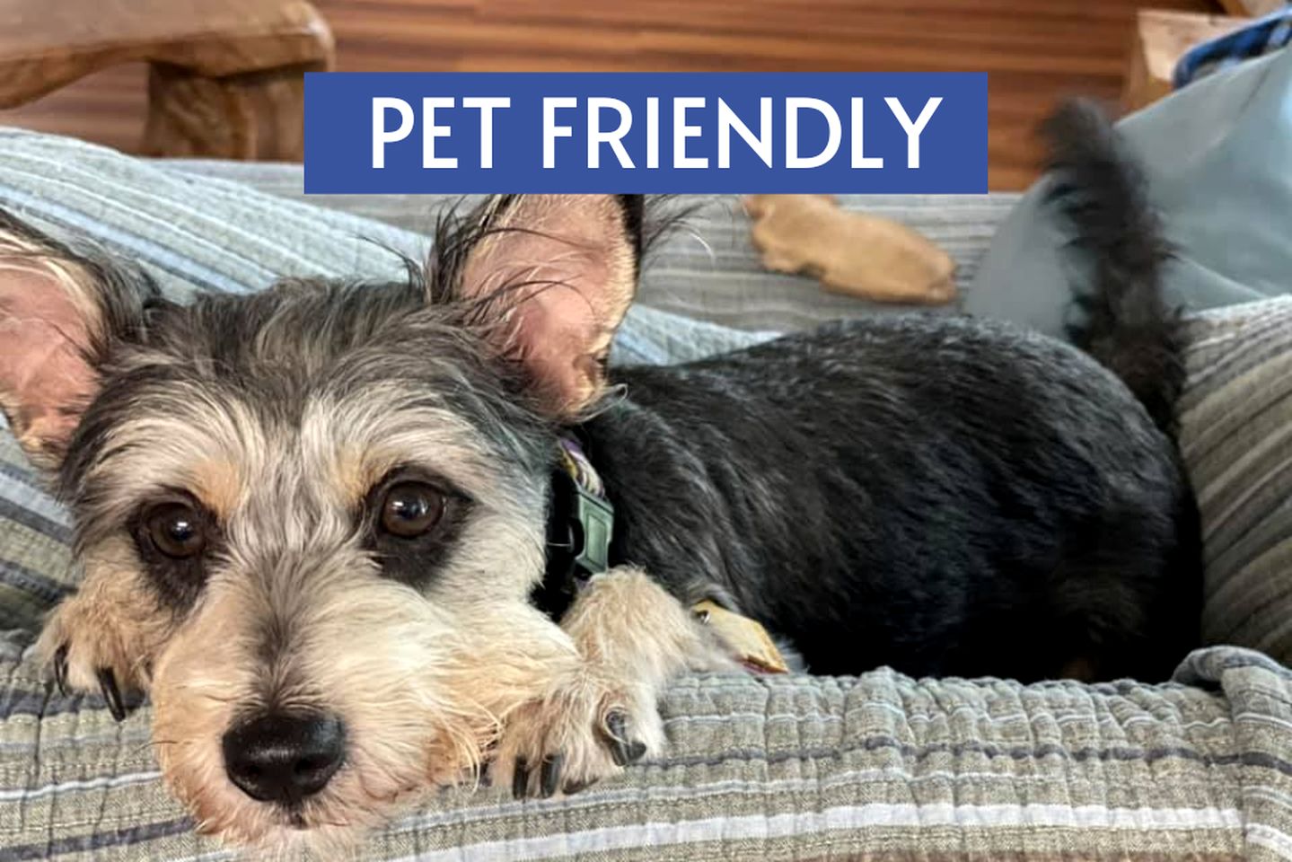 Beautiful Cabin Accommodation with Shared Pool and Lake Access in Kingsland