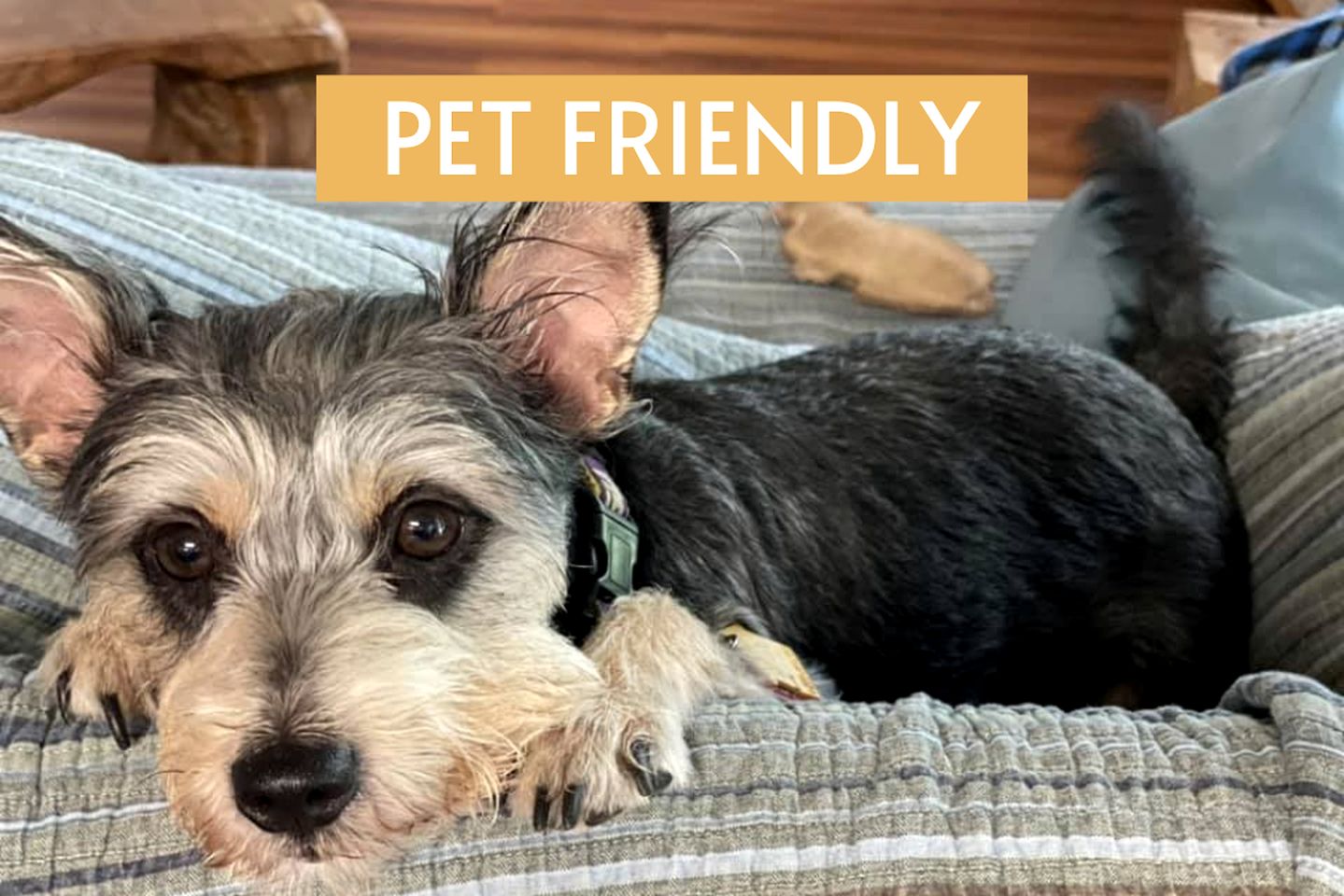 Homey Cabin Rental with Boat Docks on Lake LBJ in Kingsland, Texas