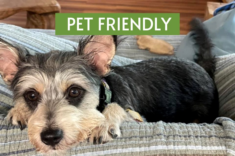 Cabins (United States of America, Kingsland, Texas)