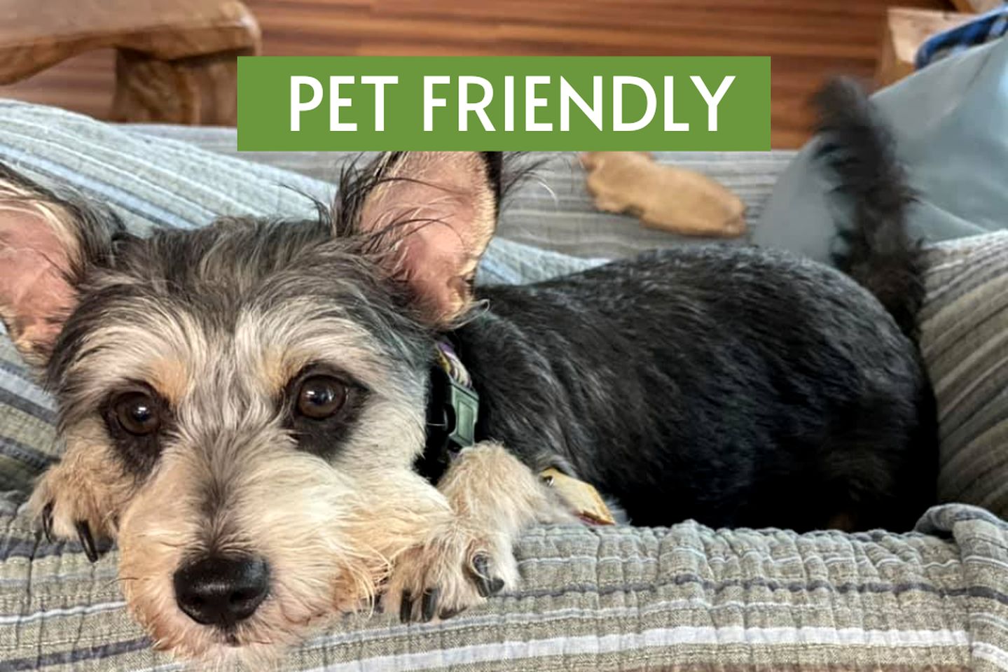 One-Room Cabin Rental with Large Porch and Lake Views in Texas Hill Country