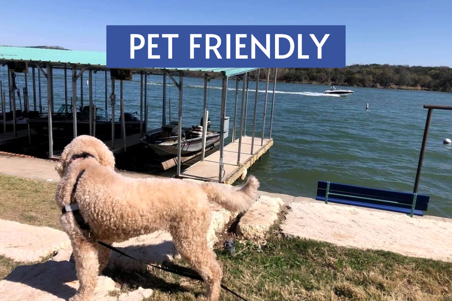 Family-Friendly Cabin Rental on Lake Lyndon B. Johnson in Kingsland, Texas