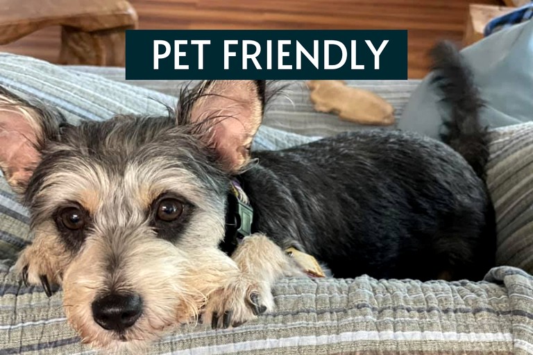 Nature Lodges (United States of America, Kingsland, Texas)