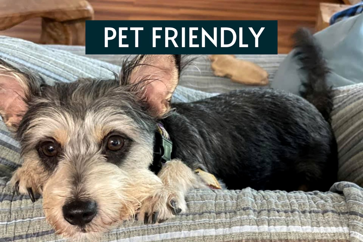 Delightful Lakefront Suite Rental with Fully Equipped Kitchen Access near Austin