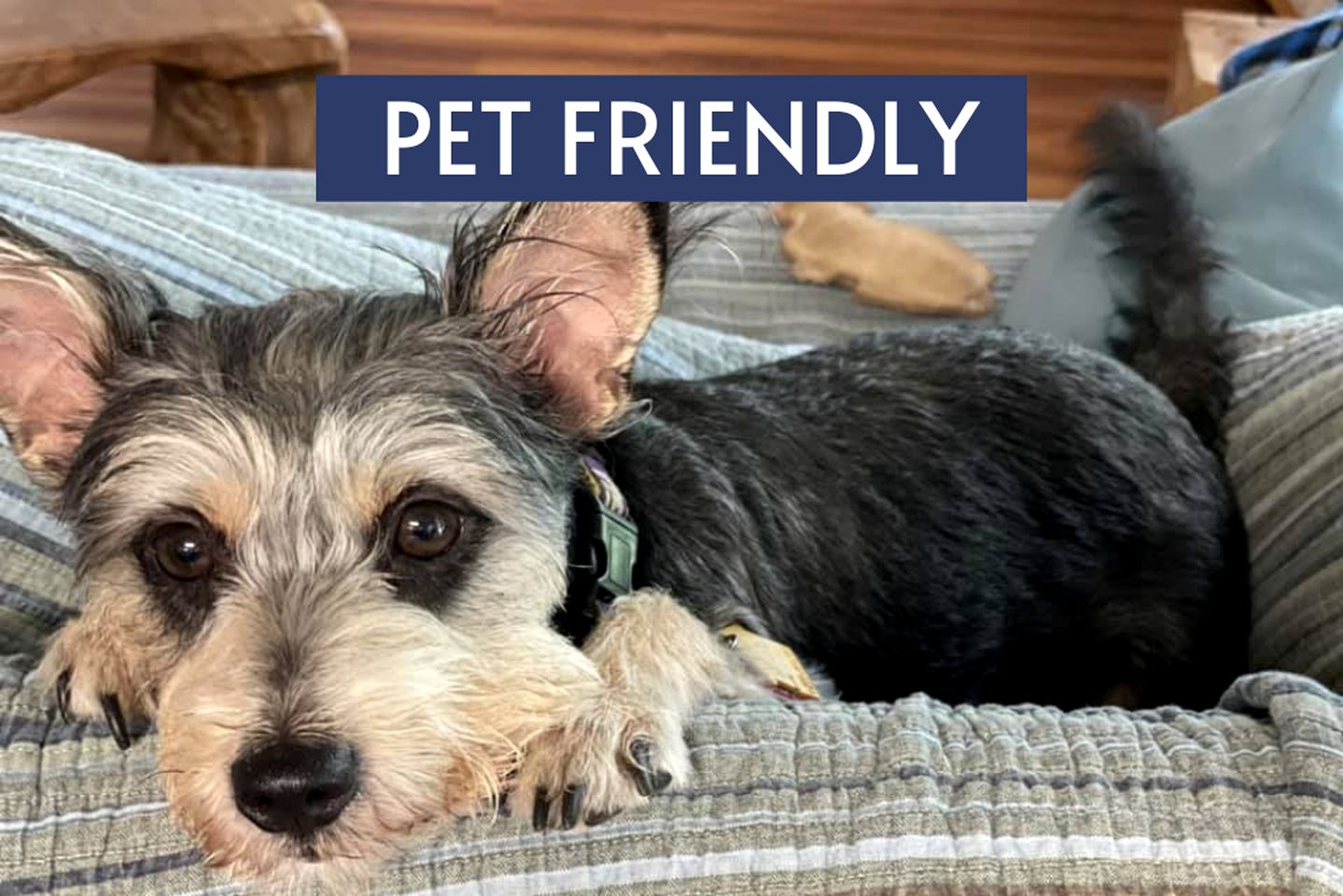 Suite Rental with Spectacular Lake Lyndon B. Johnson Views in Kingsland, Texas