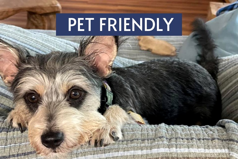 Nature Lodges (United States of America, Kingsland, Texas)