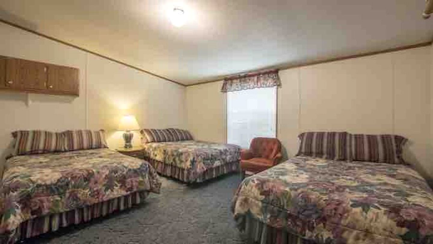 Spacious Poolside Cabin Rental for Groups in Texas Hill Country