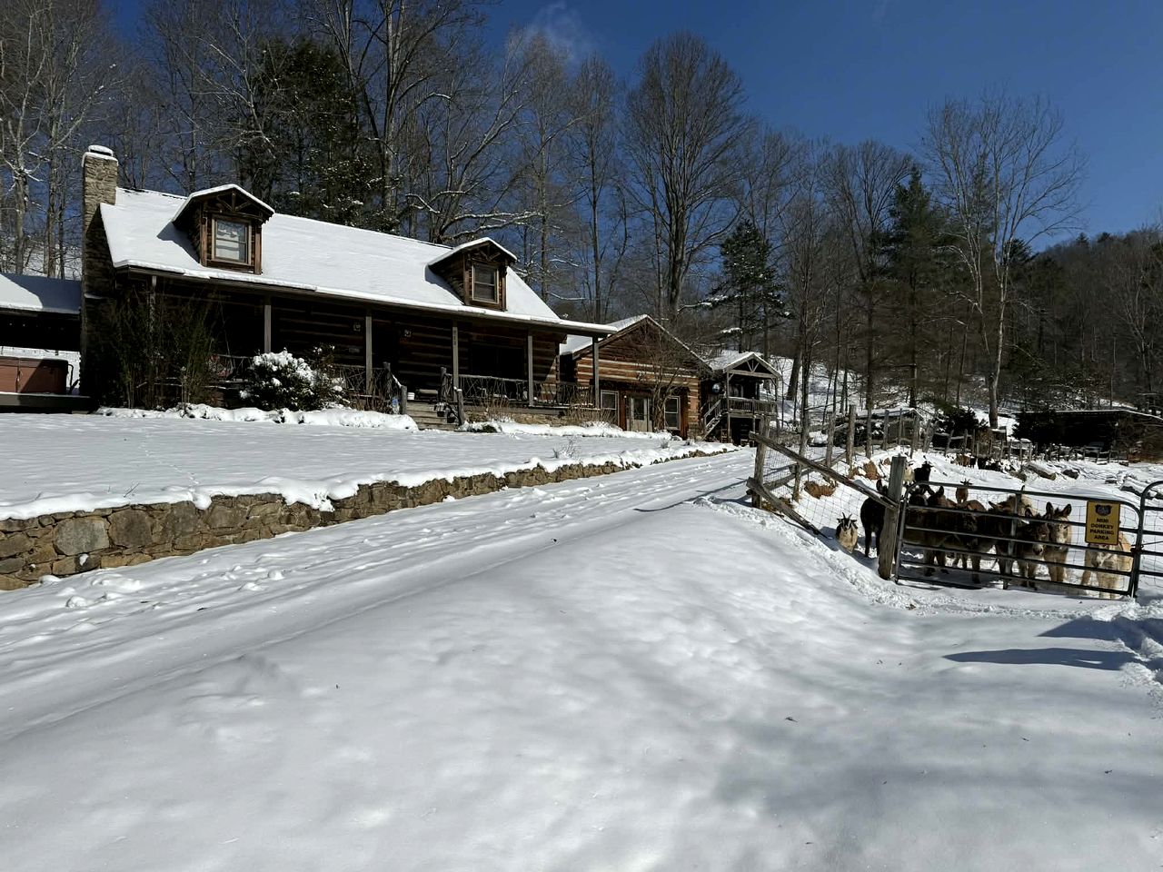 Rustic Log Cabin Rental with a Hot Tub near Asheville, North Carolina