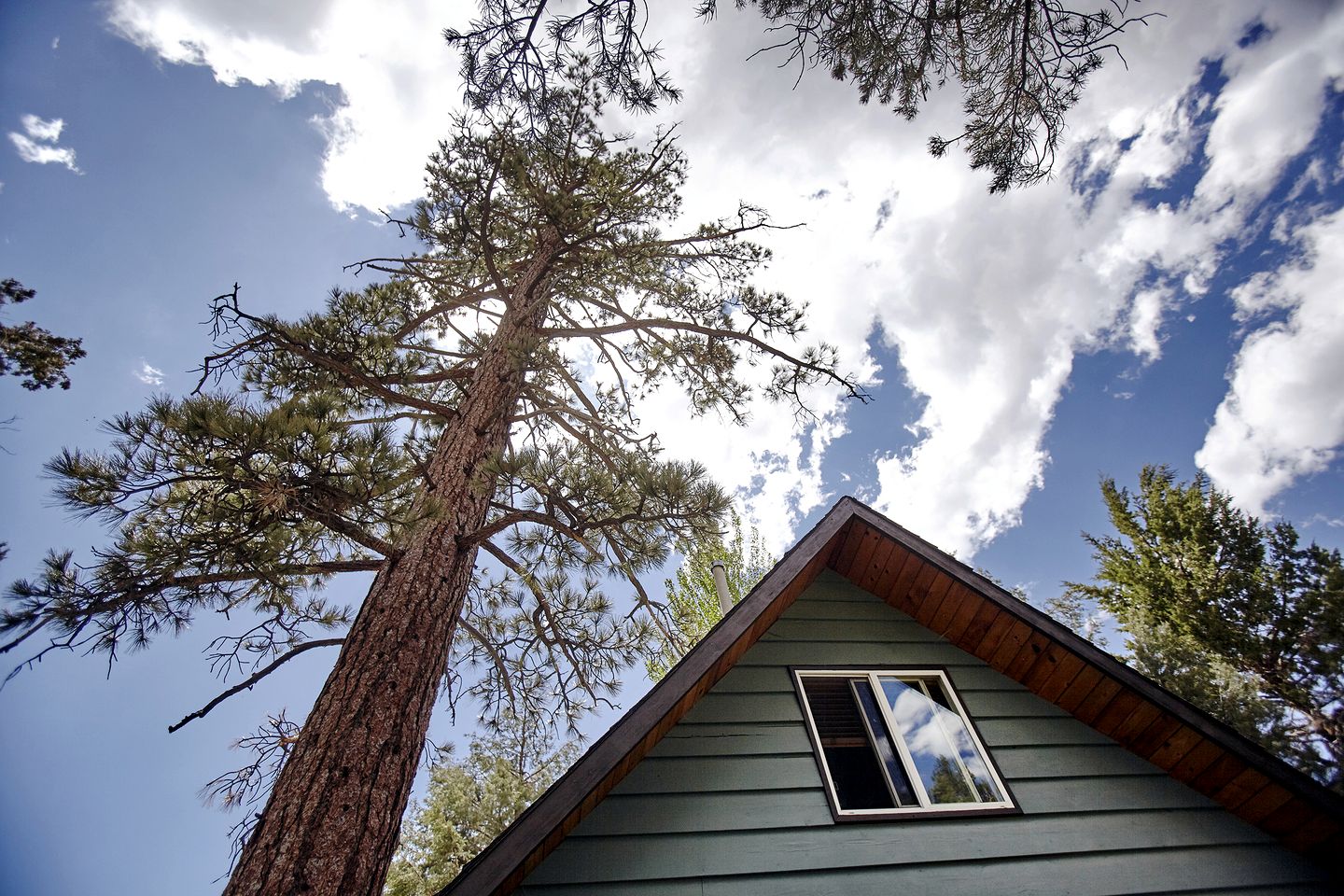 Delightful Cabin Surrounded by Trees near Big Bear Lake and San Bernadino National Forest for an Unforgettable Escape in Nature in California