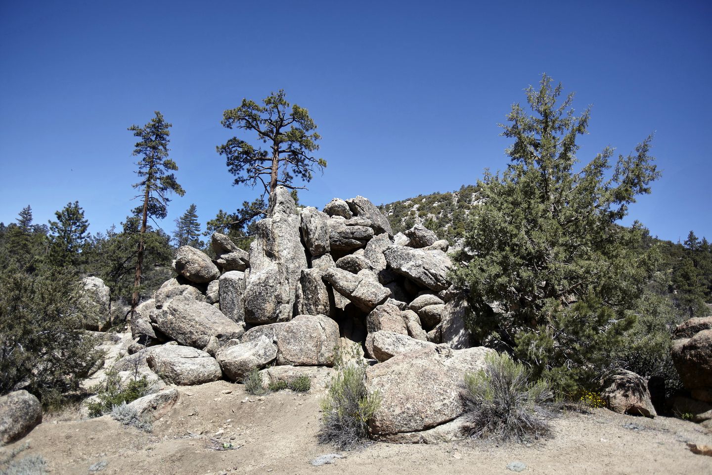 Delightful Cabin Surrounded by Trees near Big Bear Lake and San Bernadino National Forest for an Unforgettable Escape in Nature in California