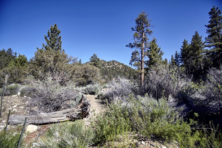 Cabins (United States of America, Big Bear City, California)