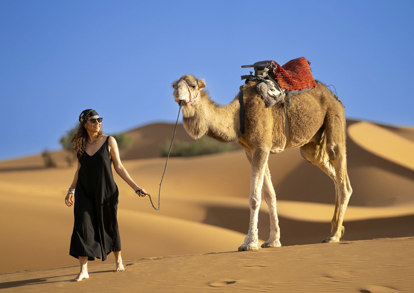 Spacious Tents Surrounded by Dunes in Luxury Desert Camp, Morocco