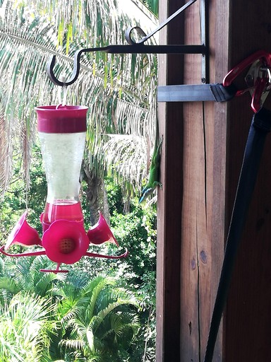 Cabins (Honduras, Roatan, Islas de la Bahía)