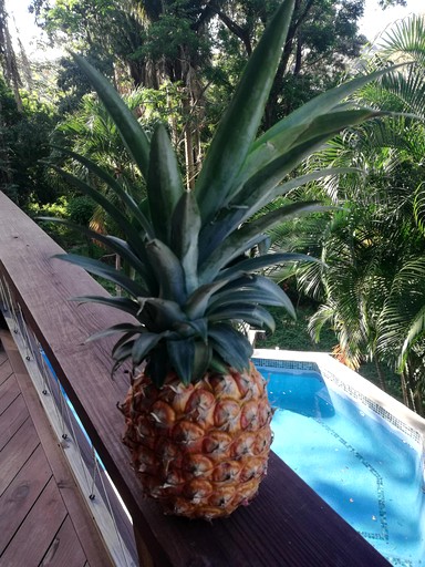 Cabins (Honduras, Roatan, Islas de la Bahía)