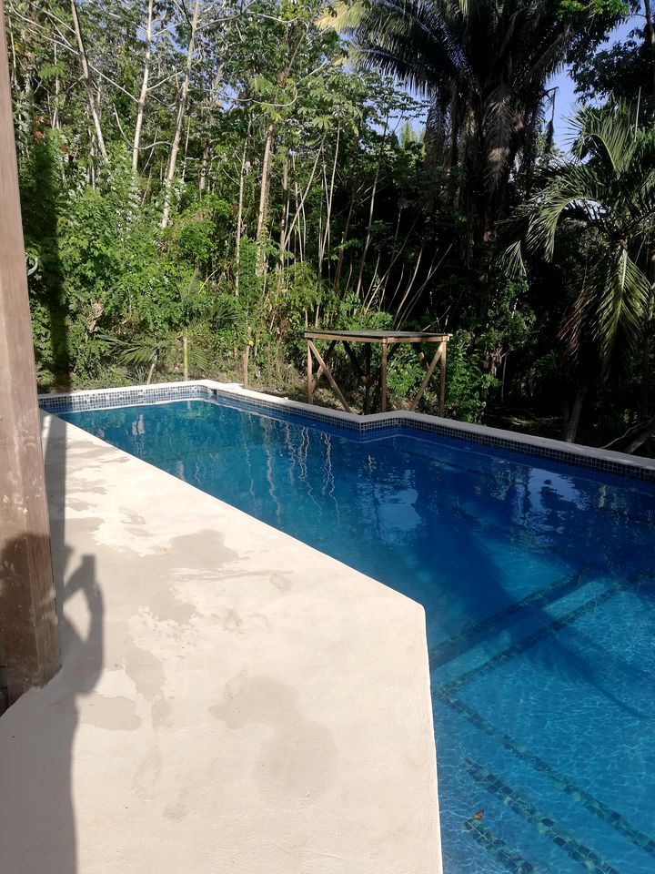 Unique and Tropical Elevated Cabin Rental on Island of Roatán in Honduras