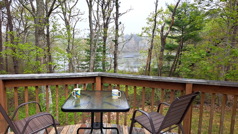 Vacation Rentals (United States of America, South Orleans, Massachusetts)