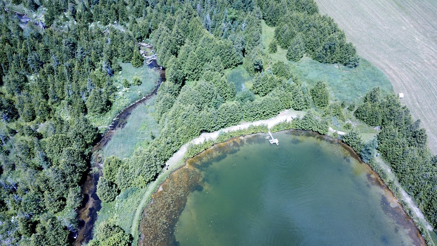 Luxurious Cottage Retreat Rental Nestled in the Beautiful Wilderness of Grey County, Ontario