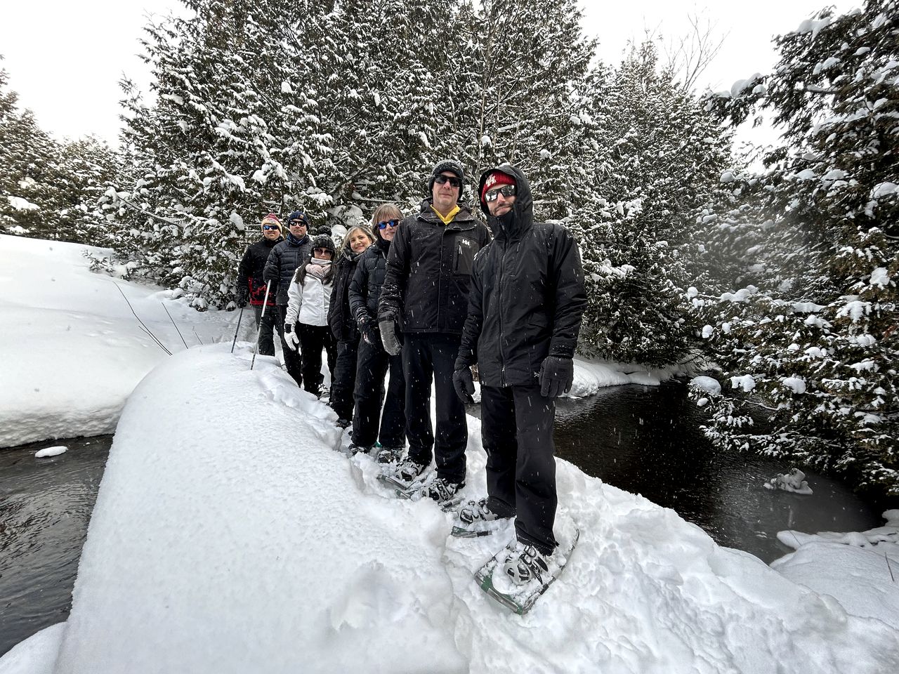 Luxurious Cottage Retreat Rental Nestled in the Beautiful Wilderness of Grey County, Ontario