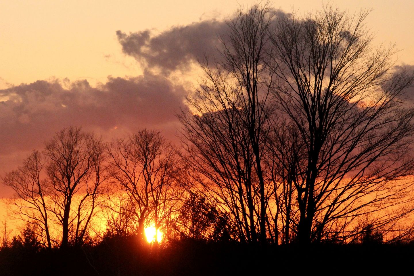 Luxurious Cottage Retreat Rental Nestled in the Beautiful Wilderness of Grey County, Ontario