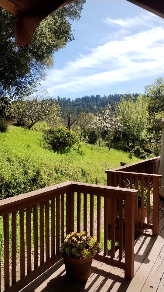 Clothing-Optional Yurts Nestled in Santa Cruz Mountains, California