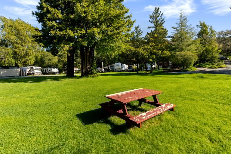 Yurts (United States of America, Los Gatos, California)