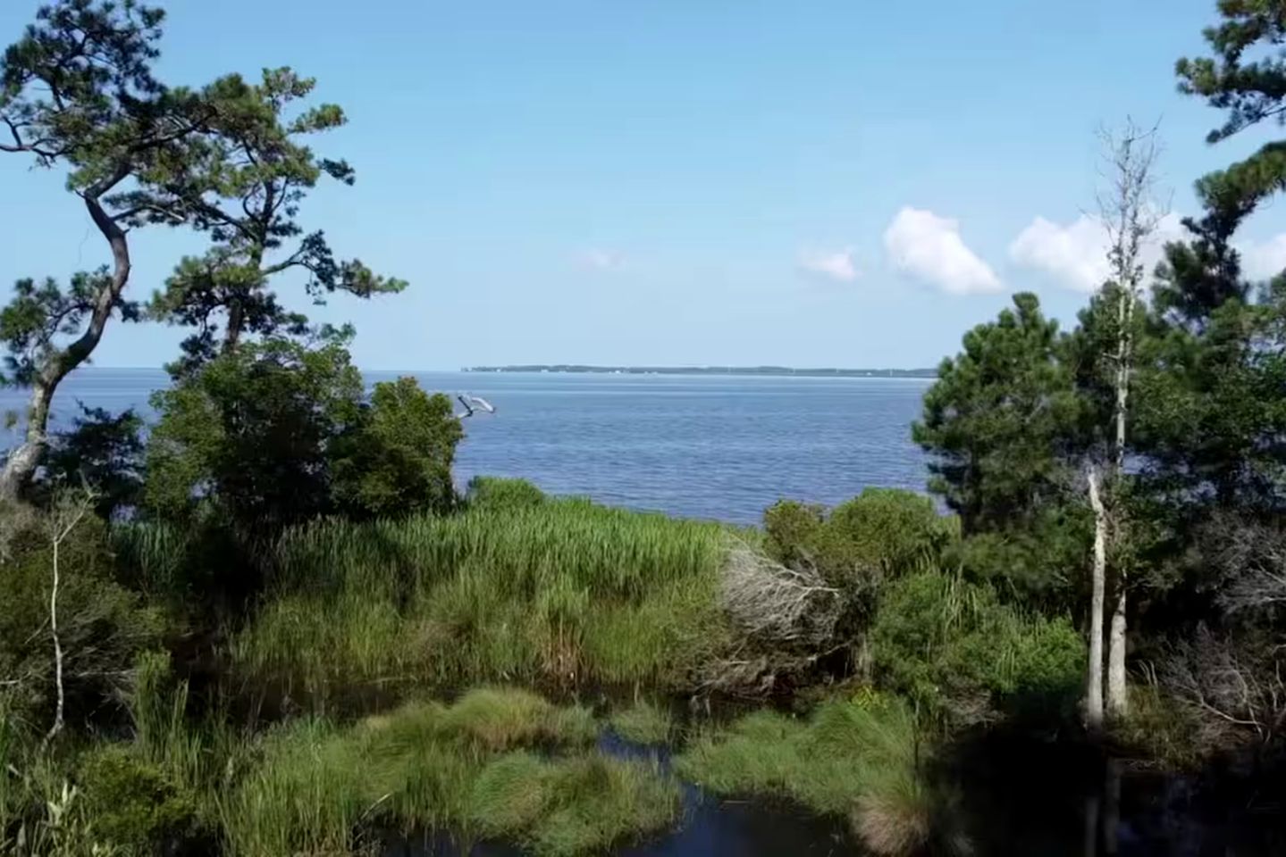Unique Soundfront Rental Set in Kitty Hawk Woods Coastal Preserve of North Carolina