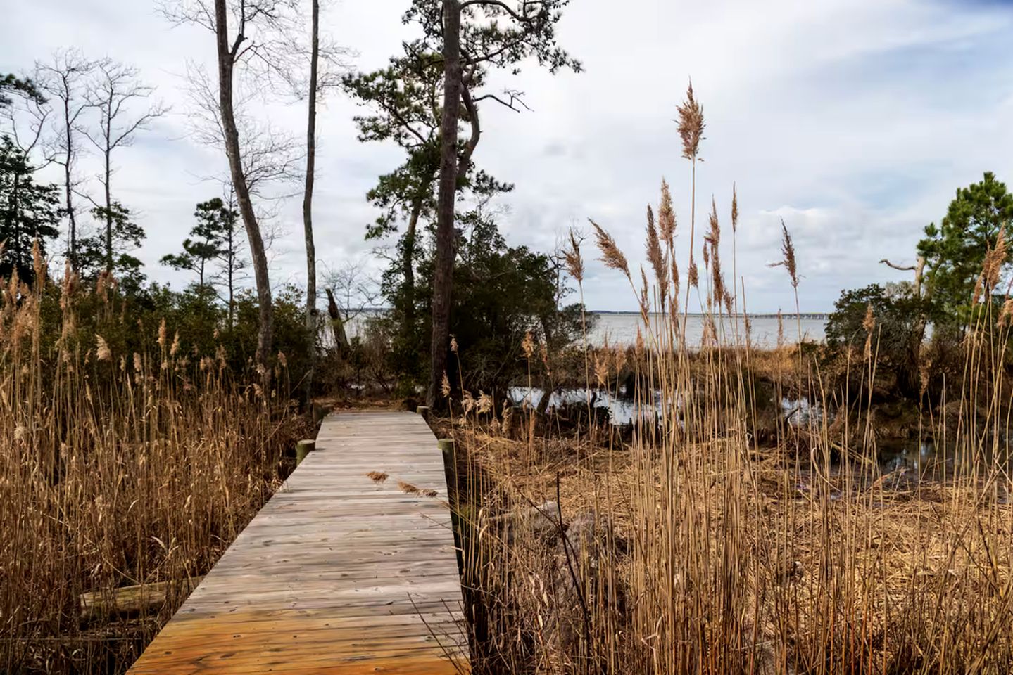 Unique Soundfront Rental Set in Kitty Hawk Woods Coastal Preserve of North Carolina