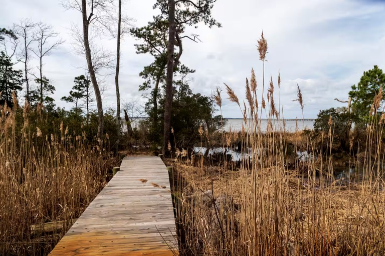 Cabins (United States of America, Kitty Hawk, North Carolina)