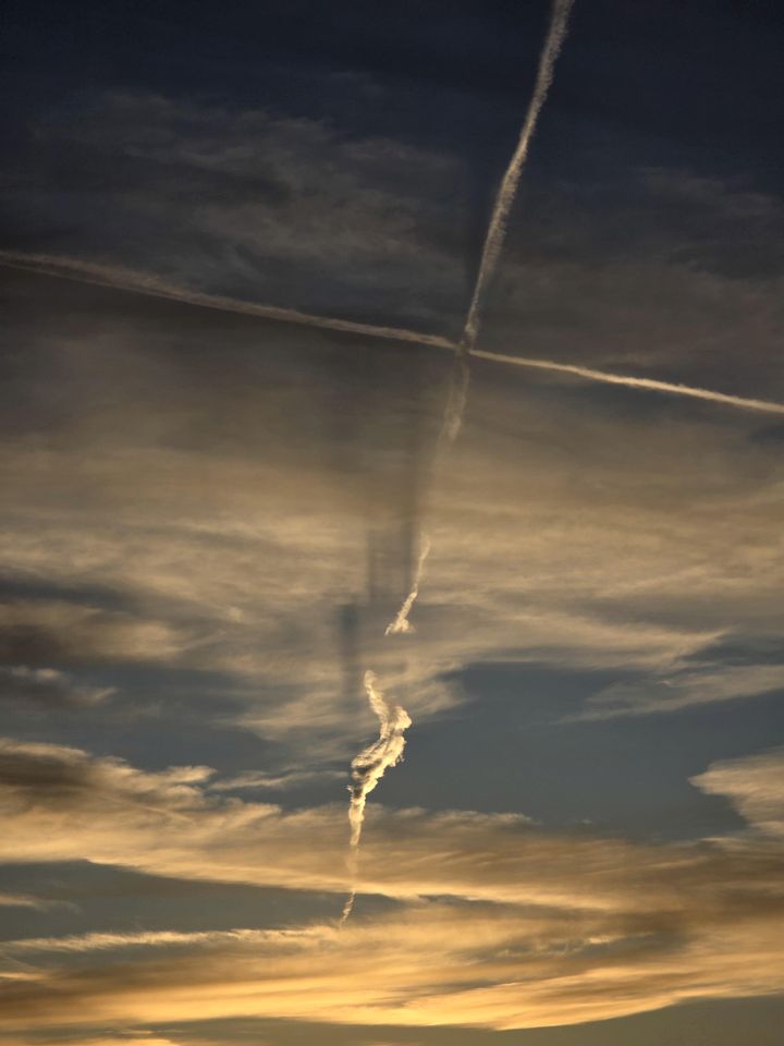 Stunning Studio Cottage for a Desert Vacation to Cortez, Colorado