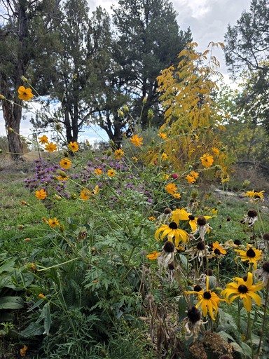 Nature Lodges (United States of America, Cortez, Colorado)