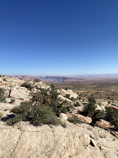 Huts (United States of America, Page, Arizona)