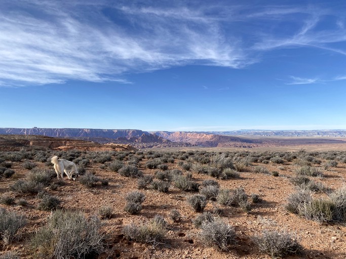 Huts (United States of America, Page, Arizona)