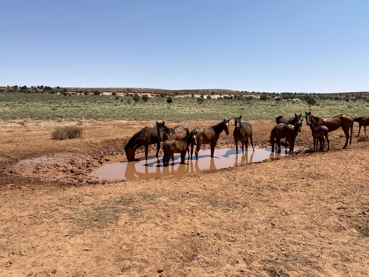 Traditional Navajo Hut Rental for a Secluded Vacation near Page, Arizona