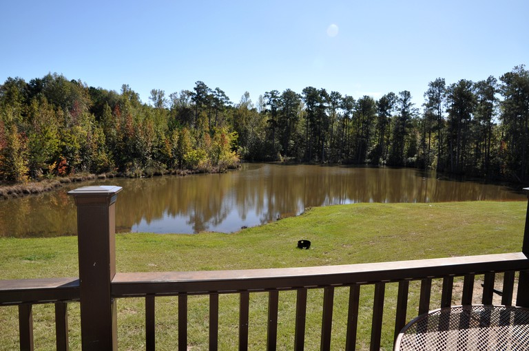 Spacious Cabin Rental in Pine Mountain,