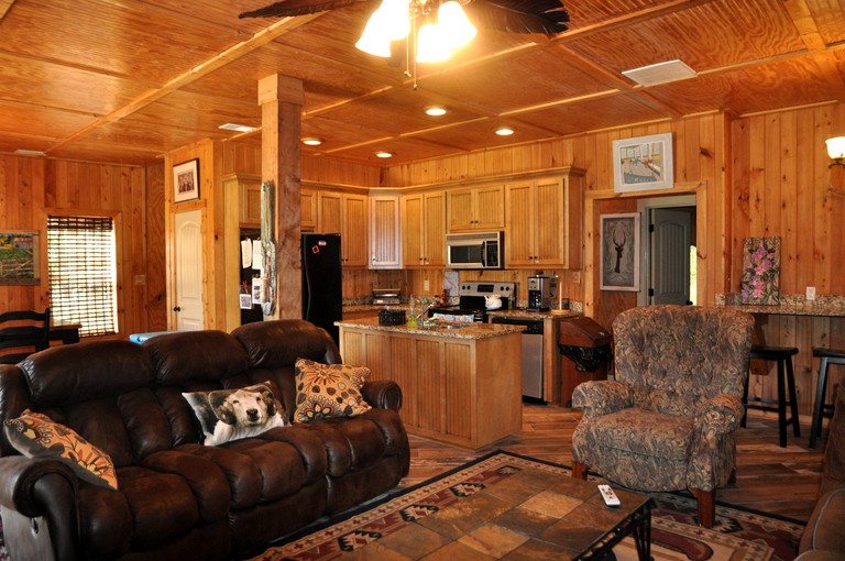 Spacious Cabin Rental in Pine Mountain,