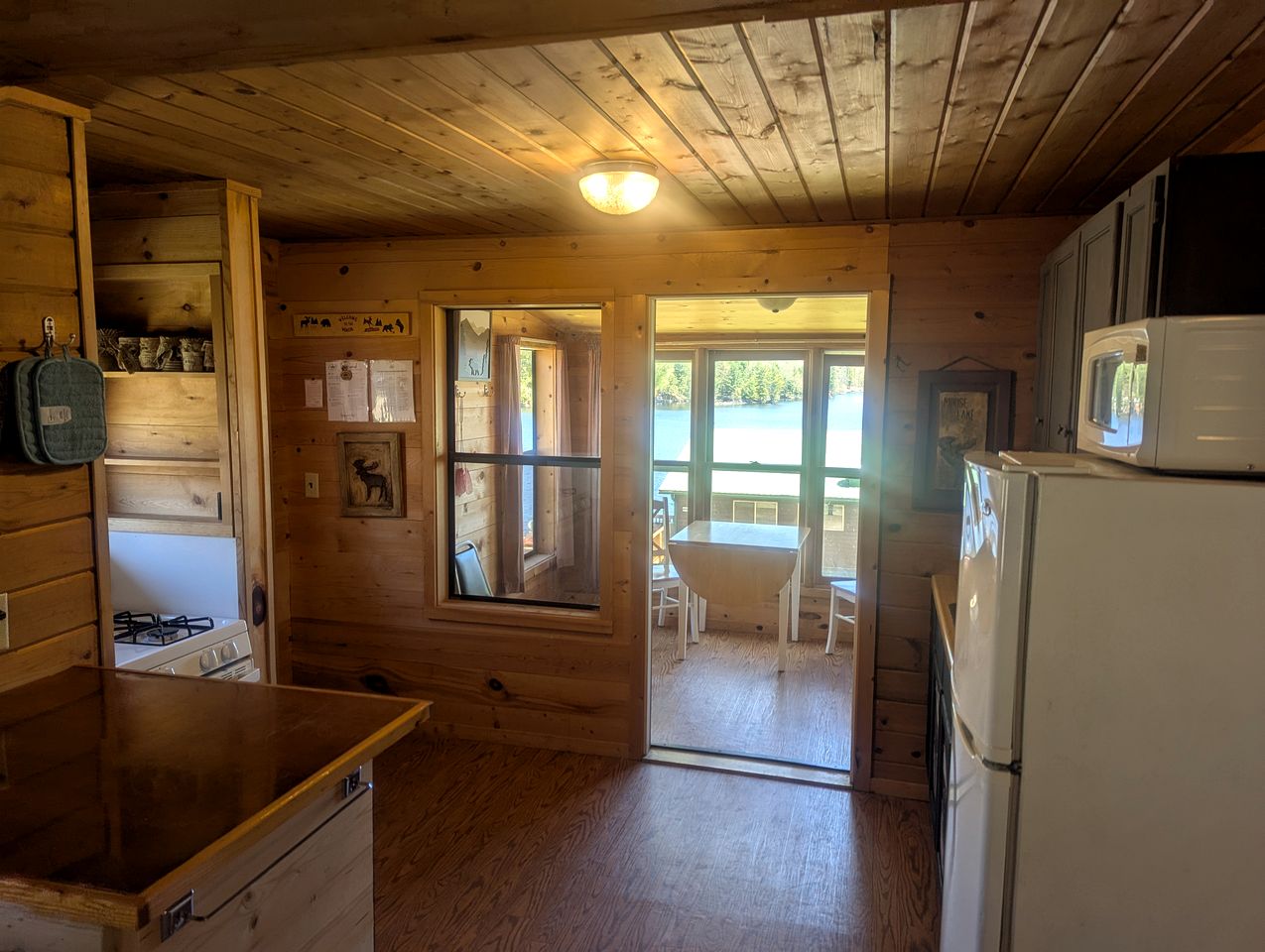Calming Cabin Rental with Lake Views near Nicolet National Forest, Wisconsin