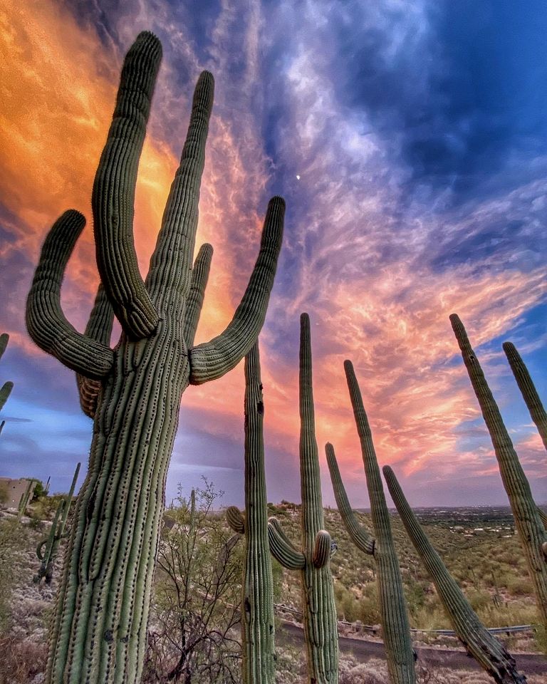 Western-Style Bunkhouse with Scenic, Desert Trails near Scottsdale, Arizona