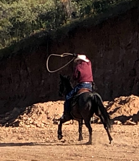 Designer Rentals (United States of America, Scottsdale, Arizona)