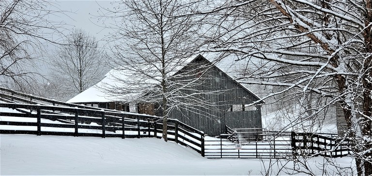 Barns (United States of America, Sperryville, Virginia)